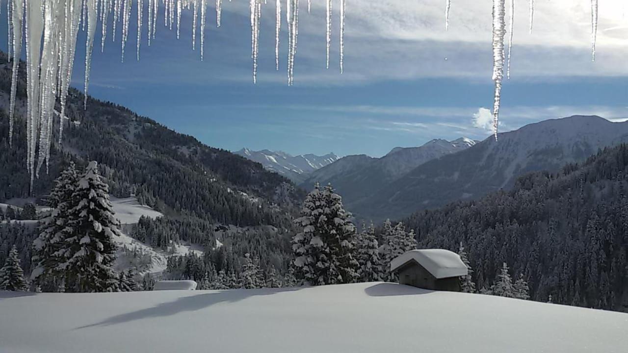 Bergfee Natur Appartements Nesselwängle Zewnętrze zdjęcie