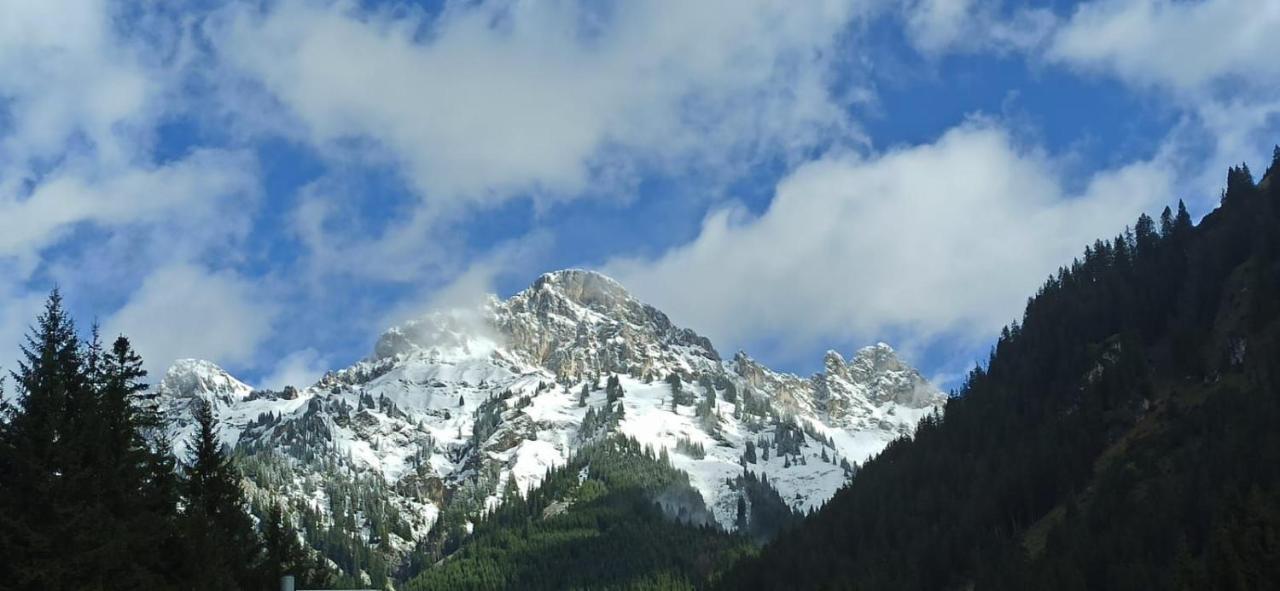 Bergfee Natur Appartements Nesselwängle Zewnętrze zdjęcie