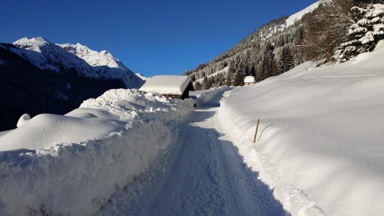 Bergfee Natur Appartements Nesselwängle Zewnętrze zdjęcie